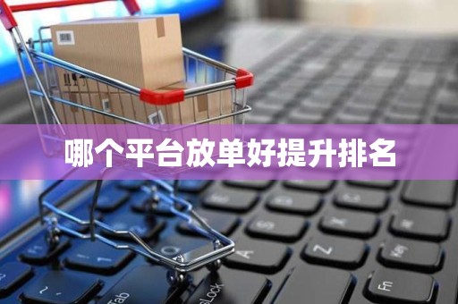 哪个平台放单好提升排名