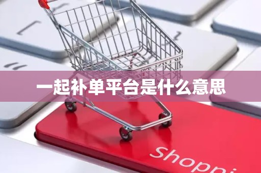 一起补单平台是什么意思