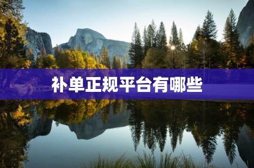 补单正规平台有哪些