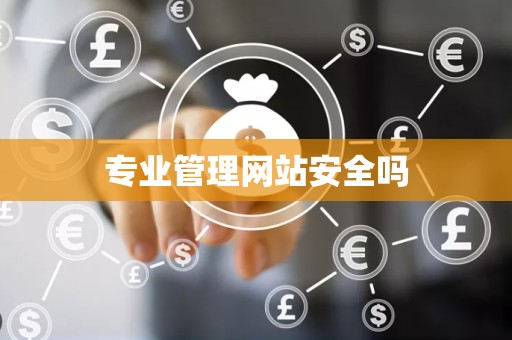 专业管理网站安全吗