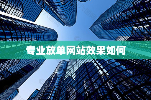 专业放单网站效果如何