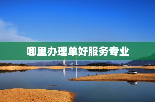 哪里办理单好服务专业