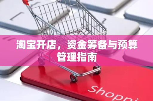 淘宝开店，资金筹备与预算管理指南