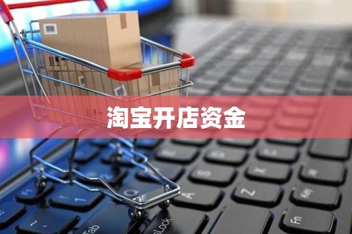 淘宝开店资金
