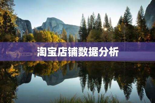 淘宝店铺数据分析