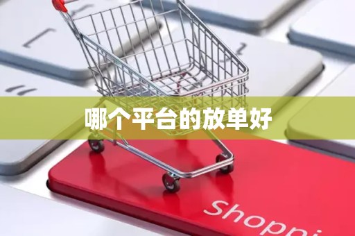 哪个平台的放单好