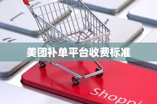 美团补单平台收费标准