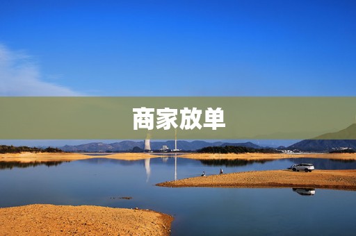 商家放单