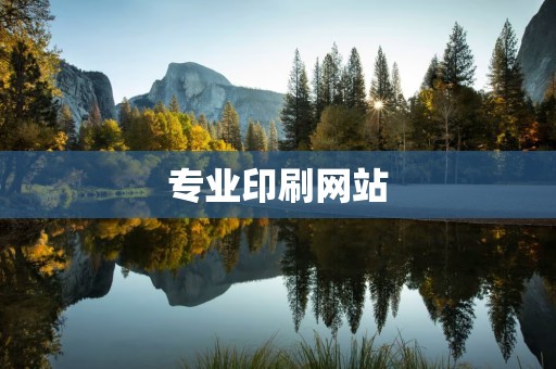 专业印刷网站