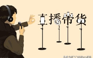 抖音补单平台，探索与解析