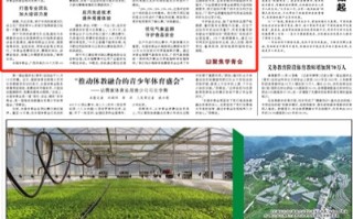 探索优质服务的源头，哪里办理单好服务专业？