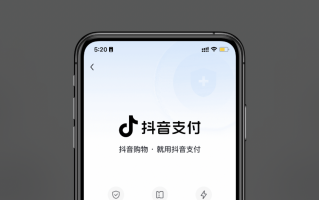 抖音补单平台推荐，哪个好用？