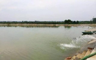 鱼塘补单真的安全吗？揭秘鱼塘补单的风险与应对之策