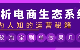 电商补单服务优质选择指南