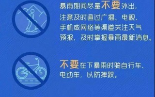 放单大平台安全注意事项探讨