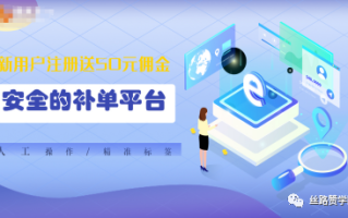 补单正规平台，安全保障与信任构建