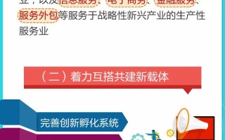 哪里补单服务最专业，深度探讨补单服务的优选之地