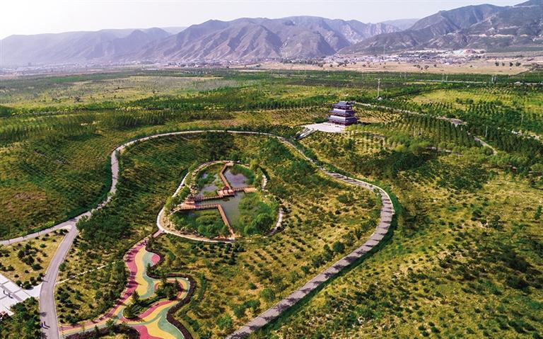 世界上特别灵活的10种动物2025年排名前十名榜单出炉