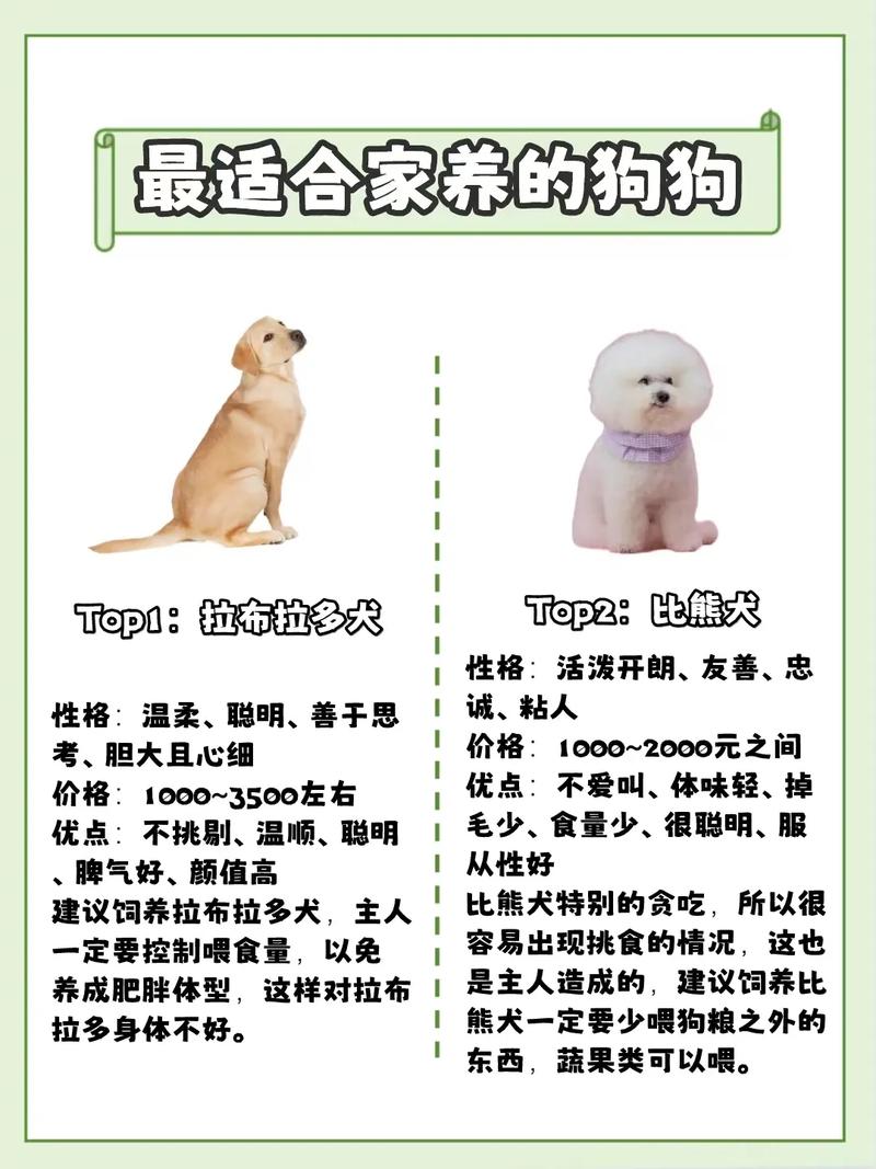 十大便宜好养的宠物狗2025近期排名前十名榜单出炉
