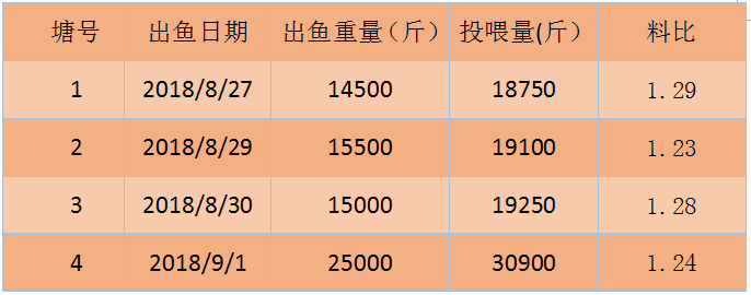 鱼塘平台补单提升销量的策略与实践