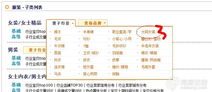 淘宝店铺权重，提升策略与优化技巧