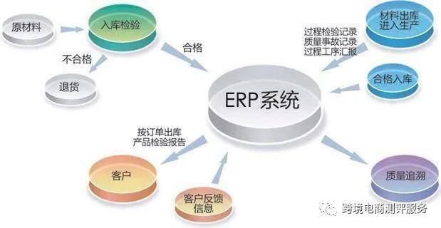 补单平台收费对比，成本与效益的综合考量