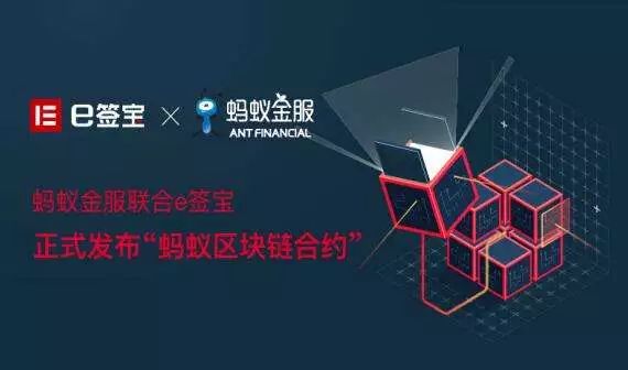 探索安全补单平台，构建信赖的电商生态