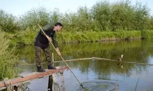 鱼塘补单操作详解，提升鱼塘效益的关键步骤