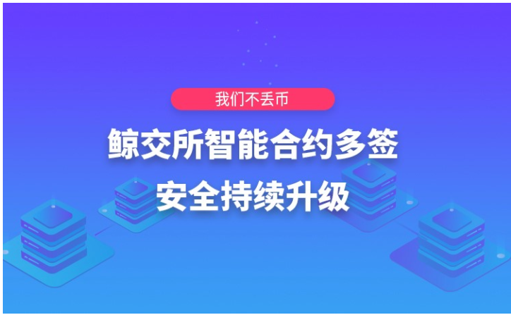 探索安全可靠的补单网站，哪个更好？