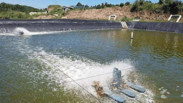 鱼塘平台补单安全措施解析