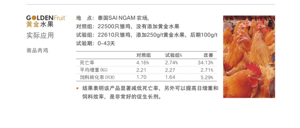 补单平台的安全性及有效性评估，探索最安全的补单平台