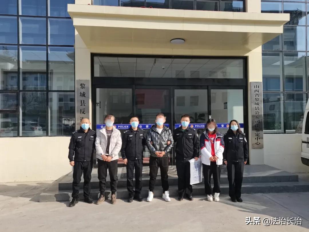 拼多多补单平台效果深度解析