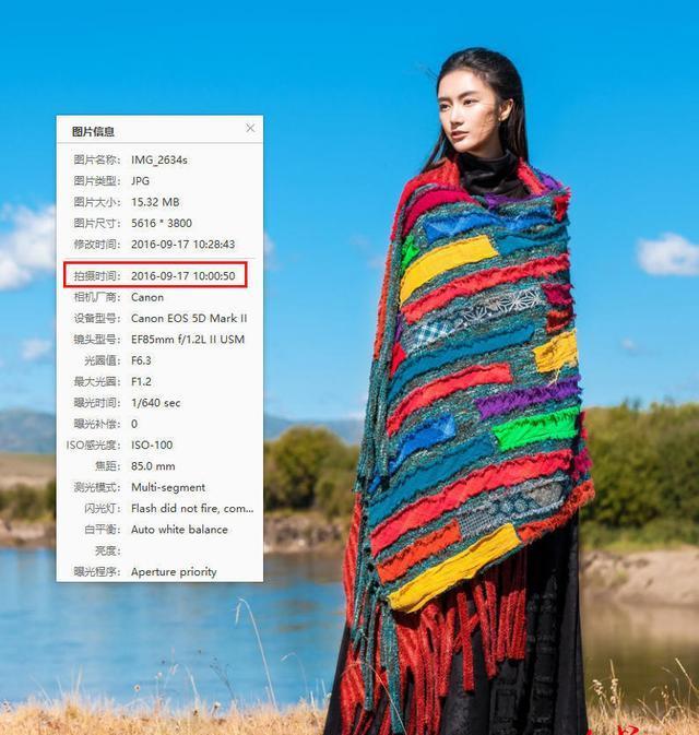淘宝店铺查询方法与步骤详解