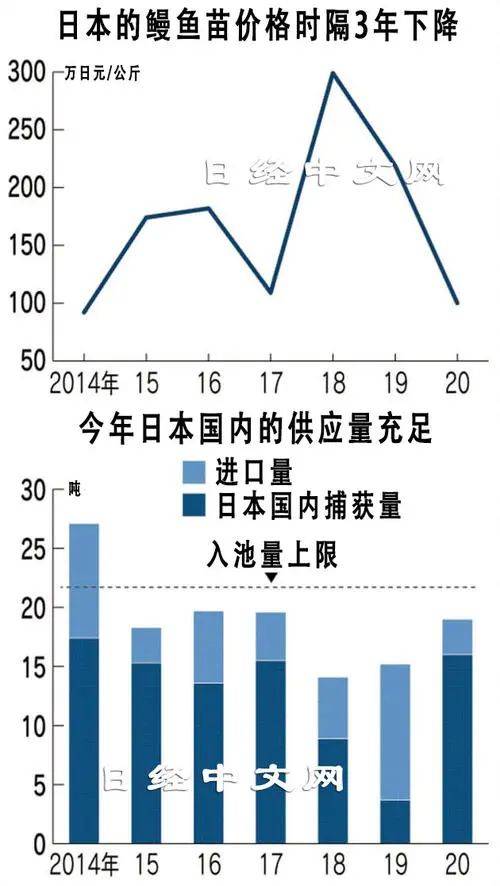 巨型鱼入侵日本2025近期排名前十名分析