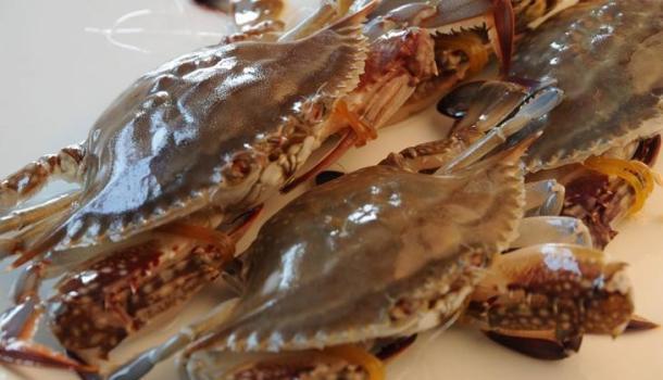 淘宝商品上下架时间优化策略