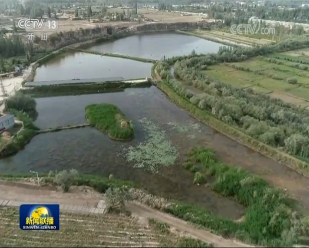 万人鱼塘补单平台,连接商家与消费者的新型桥梁 万人鱼塘补单平台,连接商家与消费者的新型桥梁