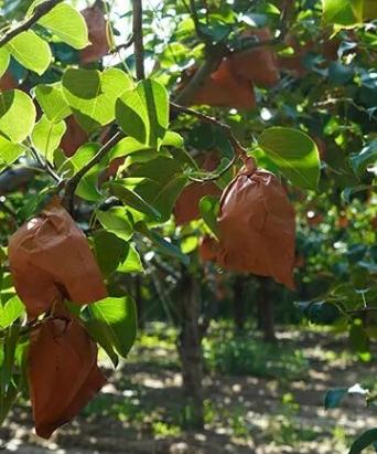 淘宝开店常见问题解答指南