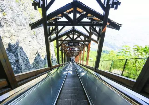 全球十大电梯品牌排行榜2025近期排名前十名分析 全球十大电梯品牌排行榜2025近期排名前十名分析