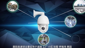 淘宝商品视频，引领电商新潮流