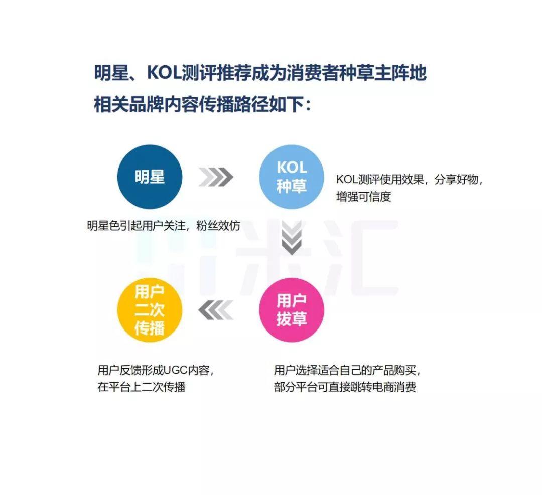 帐户用户评价，深度洞察客户体验的价值与影响